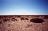 cc012.jpg