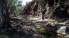 010_creek.jpg