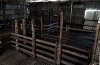 028_Shearing_shed_3_watercolour.jpg