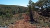 050_new_track_013.jpg