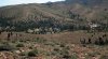 054_new_track_017_Willow_Springs.jpg