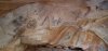 058_Yourambulla_Caves_02.jpg