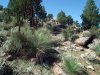065_Yourambulla_Caves_09_yakkas.jpg