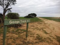 Googs Track June 2016 | 4x4Earth
