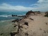 DSCF2531a.jpg