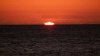 DSCF2662a.jpg