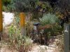 DSCF2589a.jpg